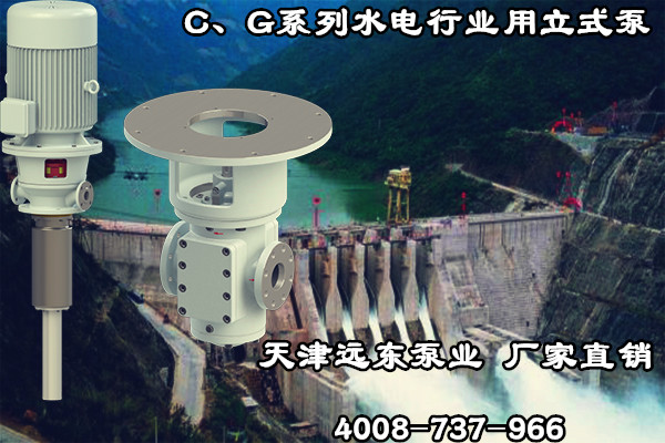 C、G系列水電行業(yè)用立式泵